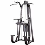 Gravitron Selectorizado Sport Fitness