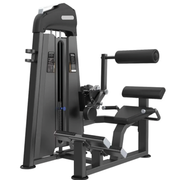 EXTENSION DE ESPALDA